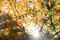 20201115090850