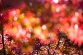 20201115090915