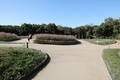 20201115091114