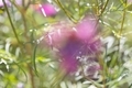 20201115091212