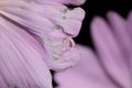 20201115091659