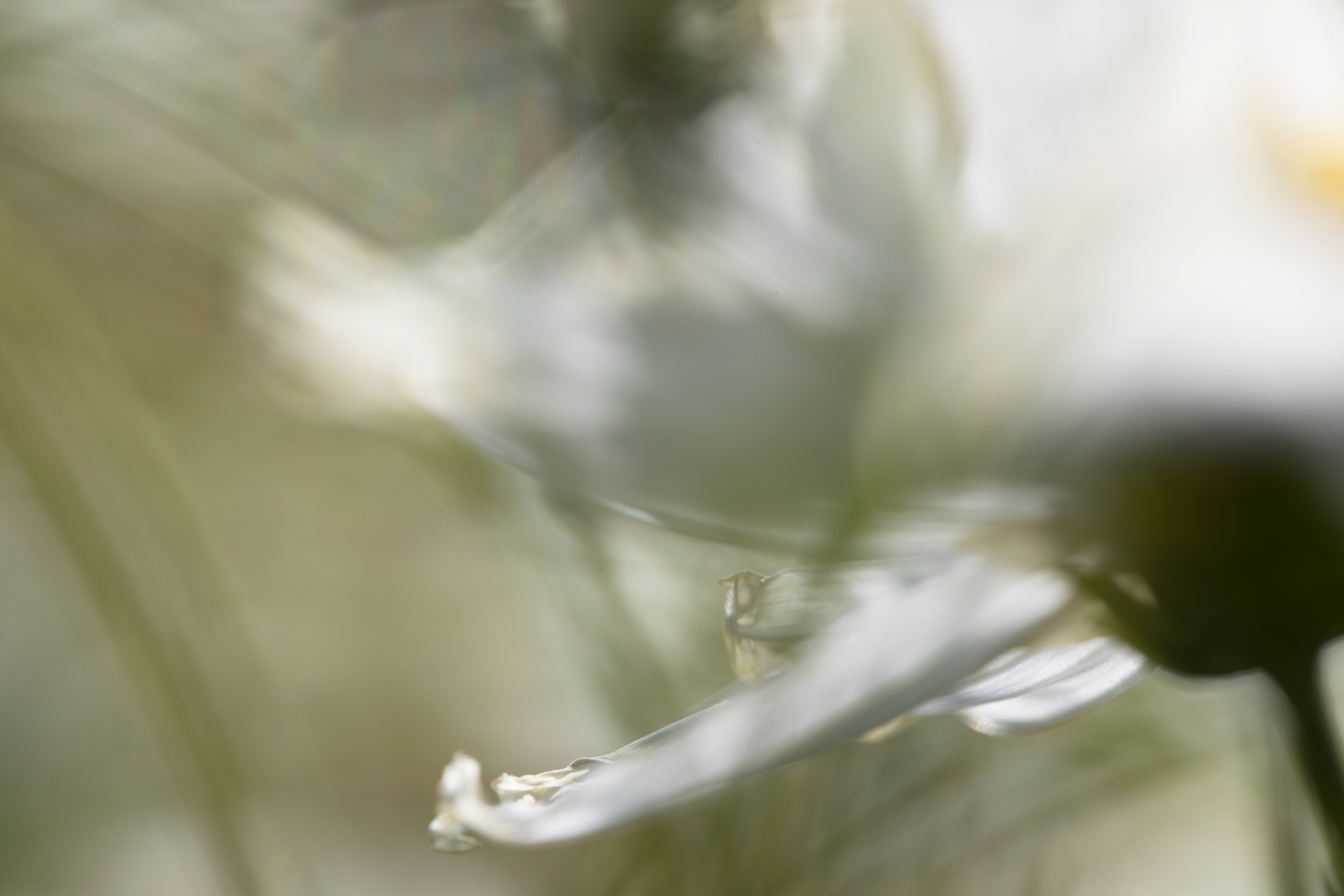 f:id:MAREOSIEV:20201115092013j:plain
