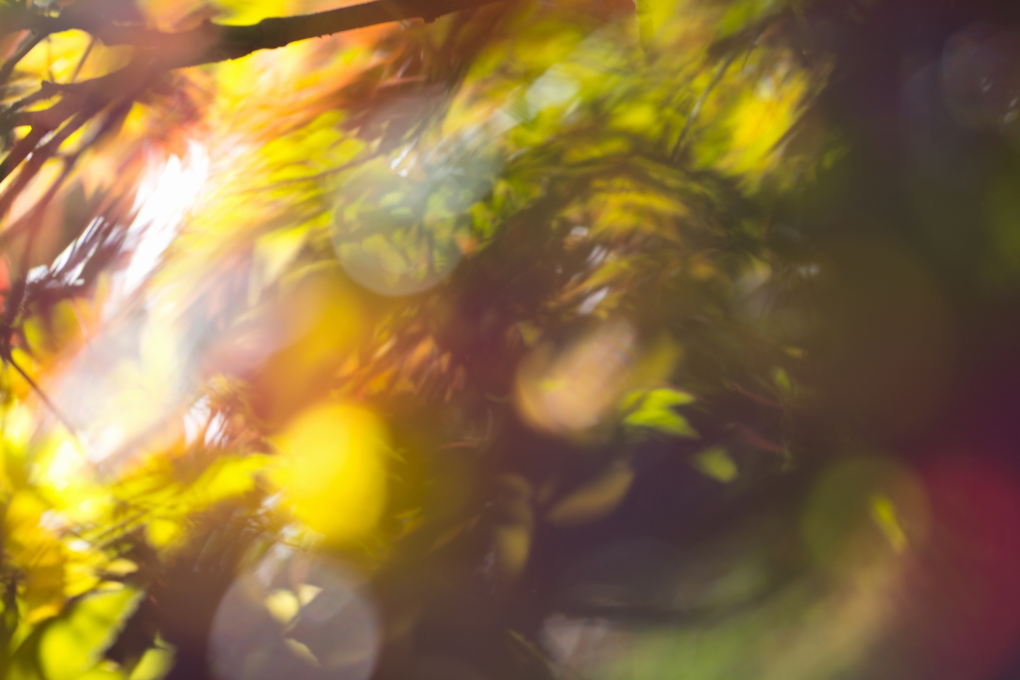 f:id:MAREOSIEV:20201115092605j:plain