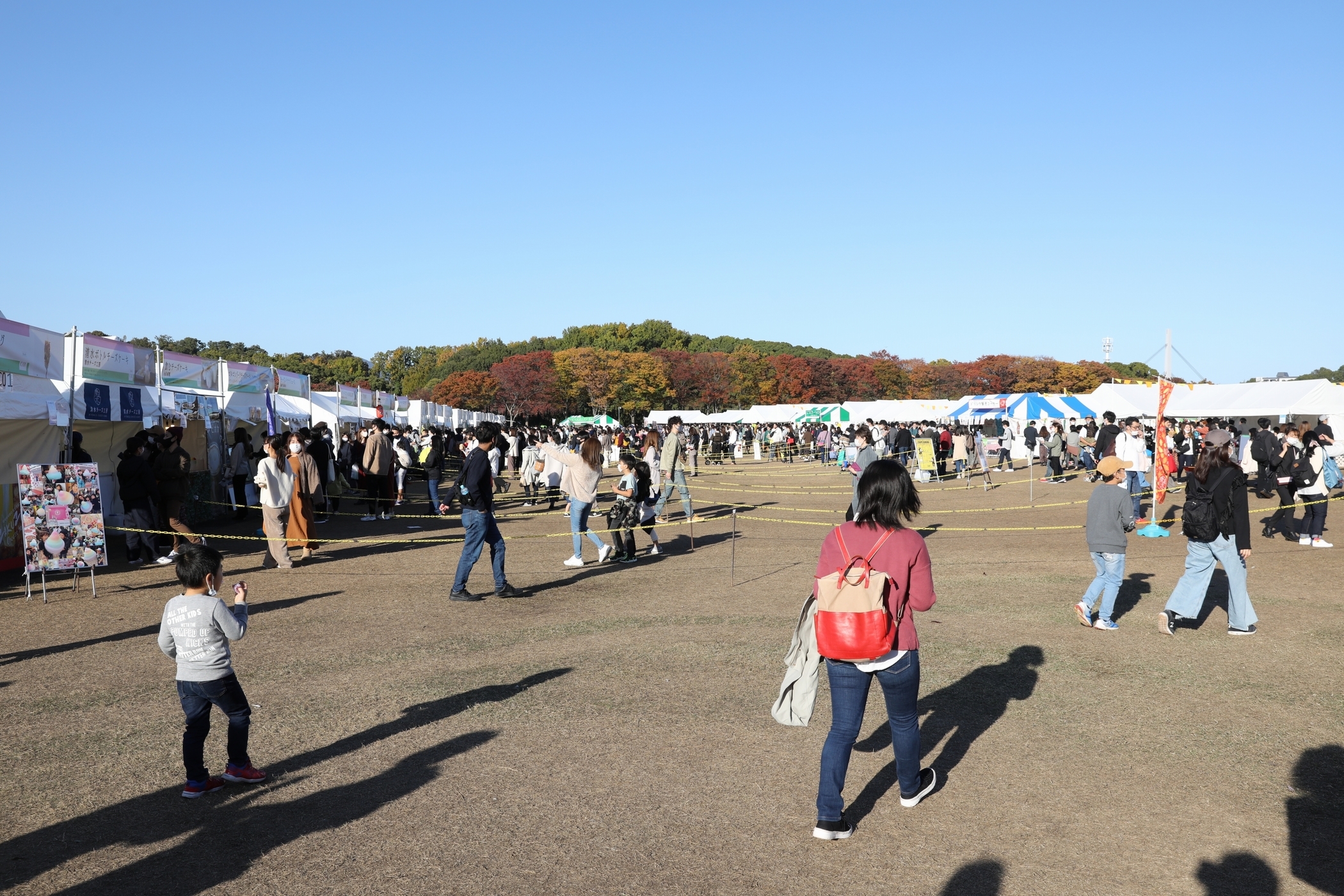 f:id:MAREOSIEV:20201115092739j:plain