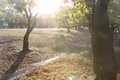 20201115092818