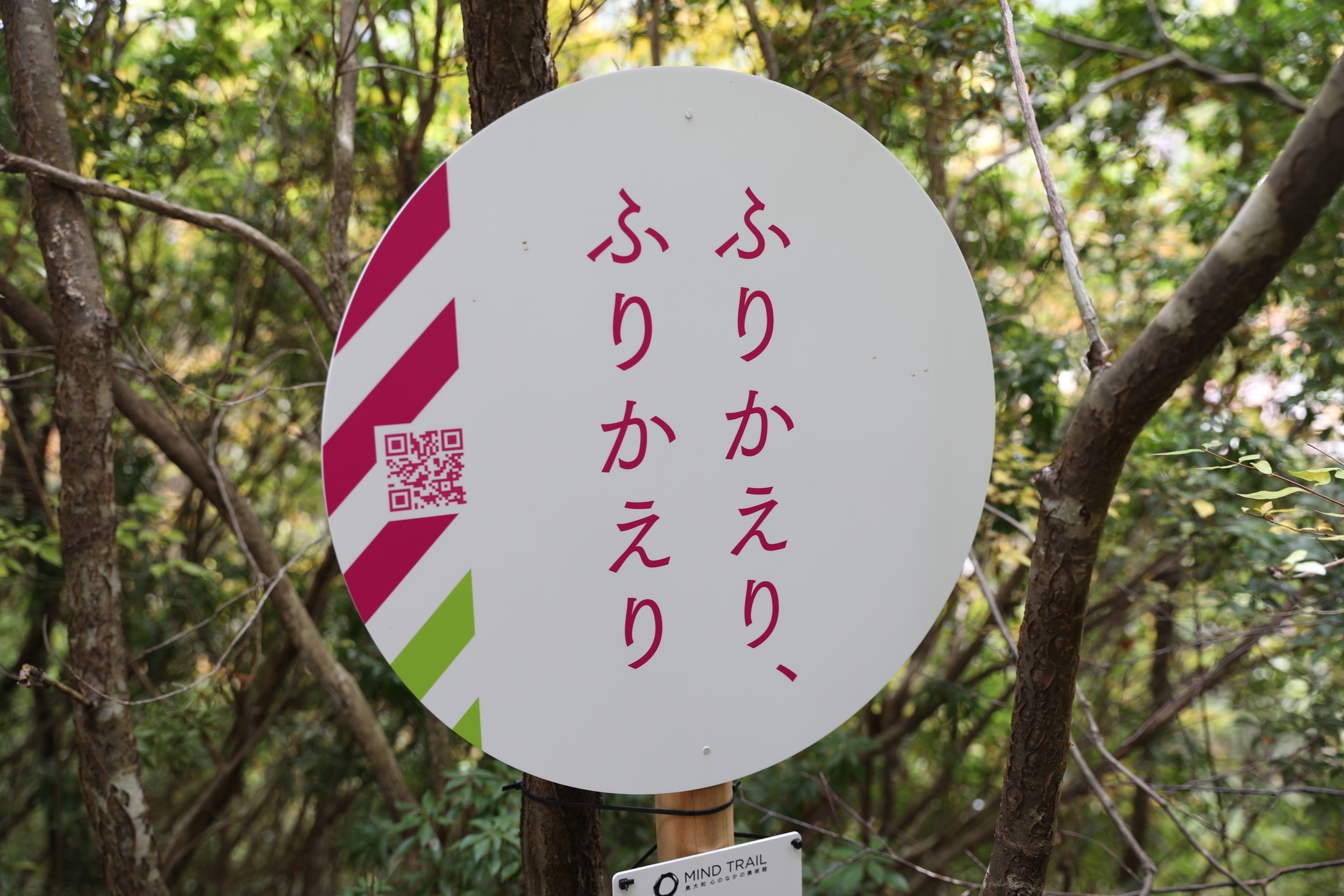 f:id:MAREOSIEV:20201123174455j:plain