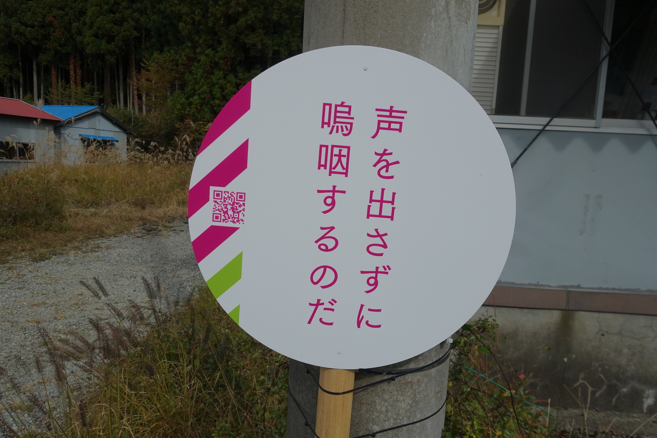 f:id:MAREOSIEV:20201123174527j:plain