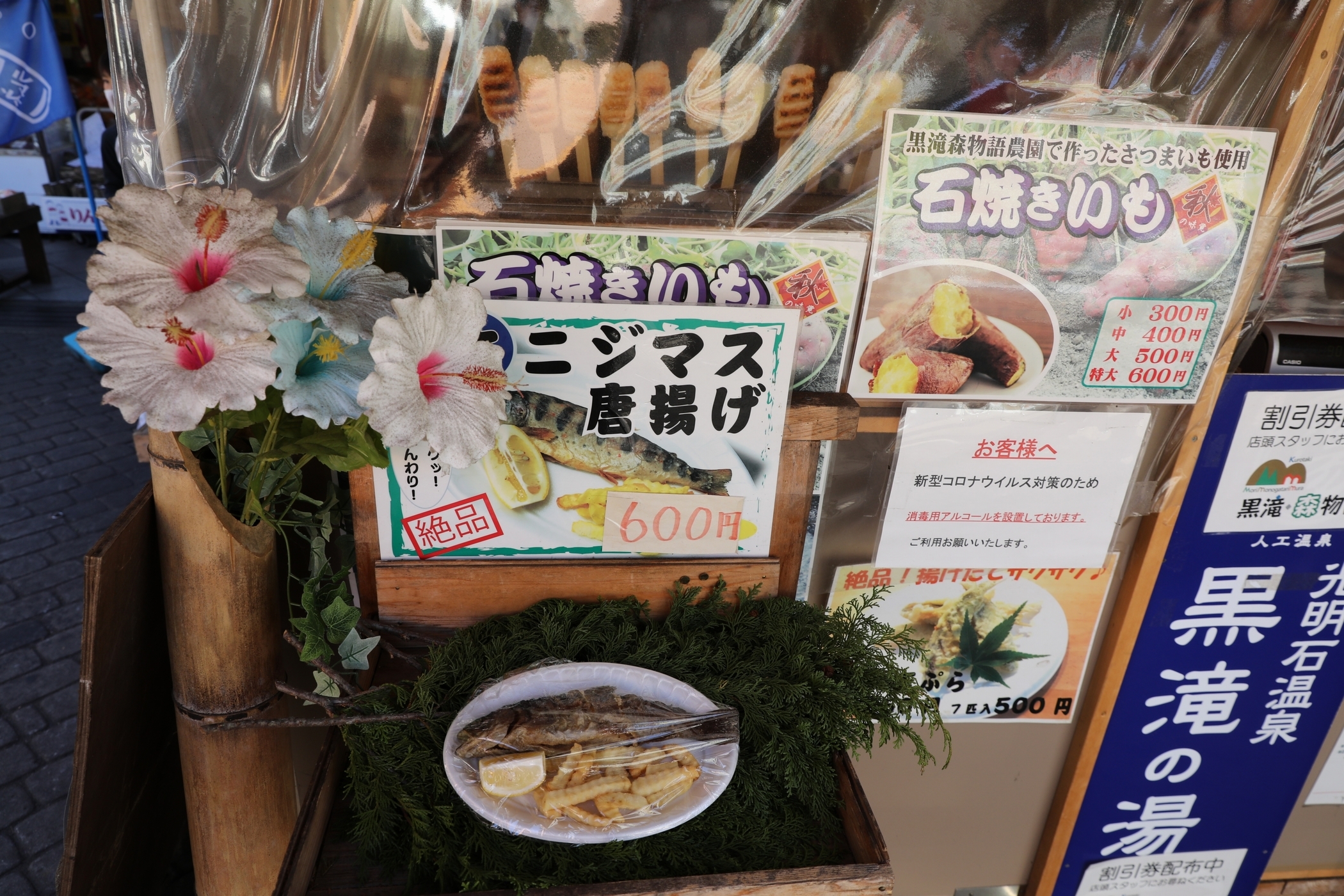 f:id:MAREOSIEV:20201123175552j:plain