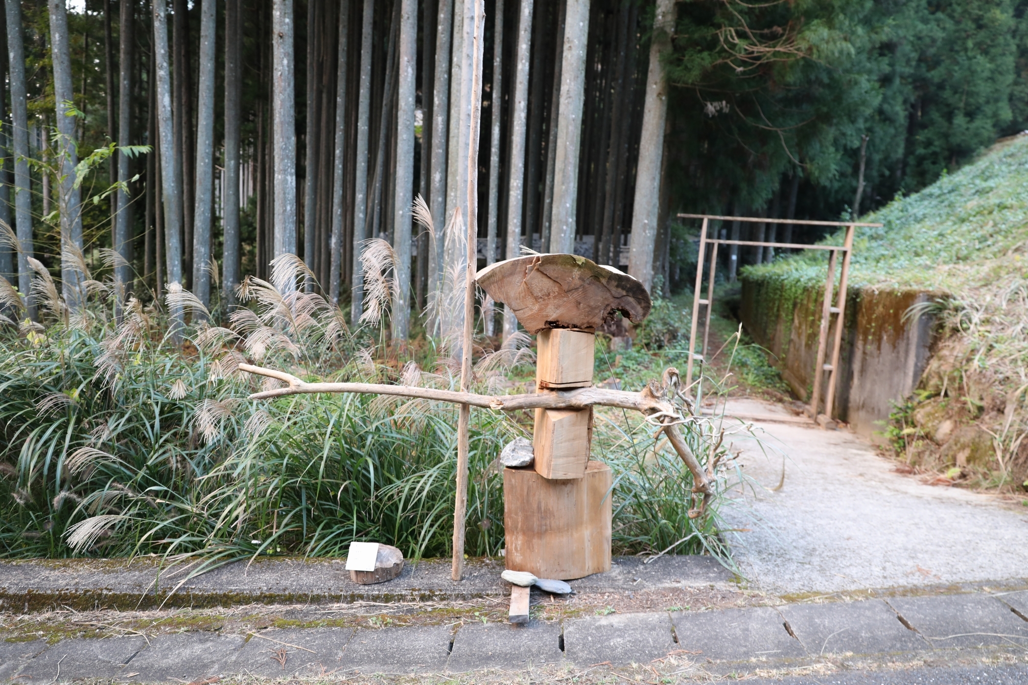 f:id:MAREOSIEV:20201123213755j:plain