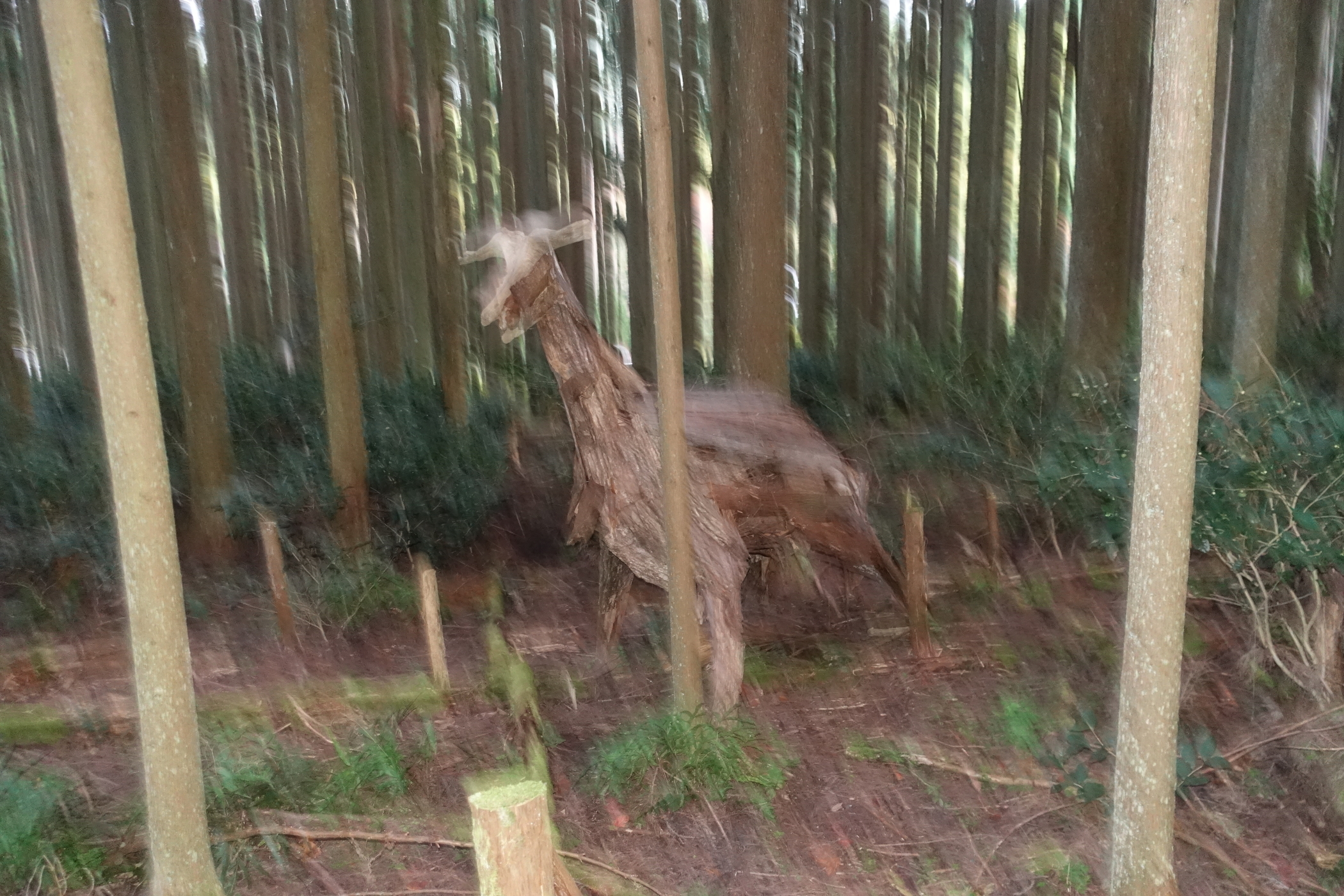f:id:MAREOSIEV:20201123214128j:plain