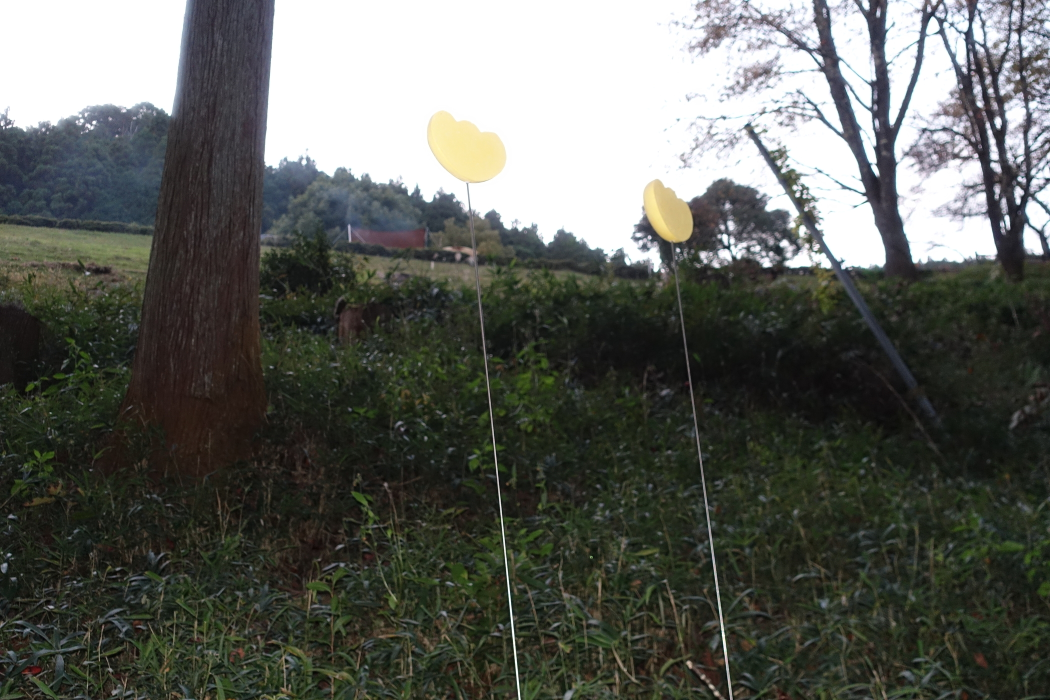 f:id:MAREOSIEV:20201123214214j:plain