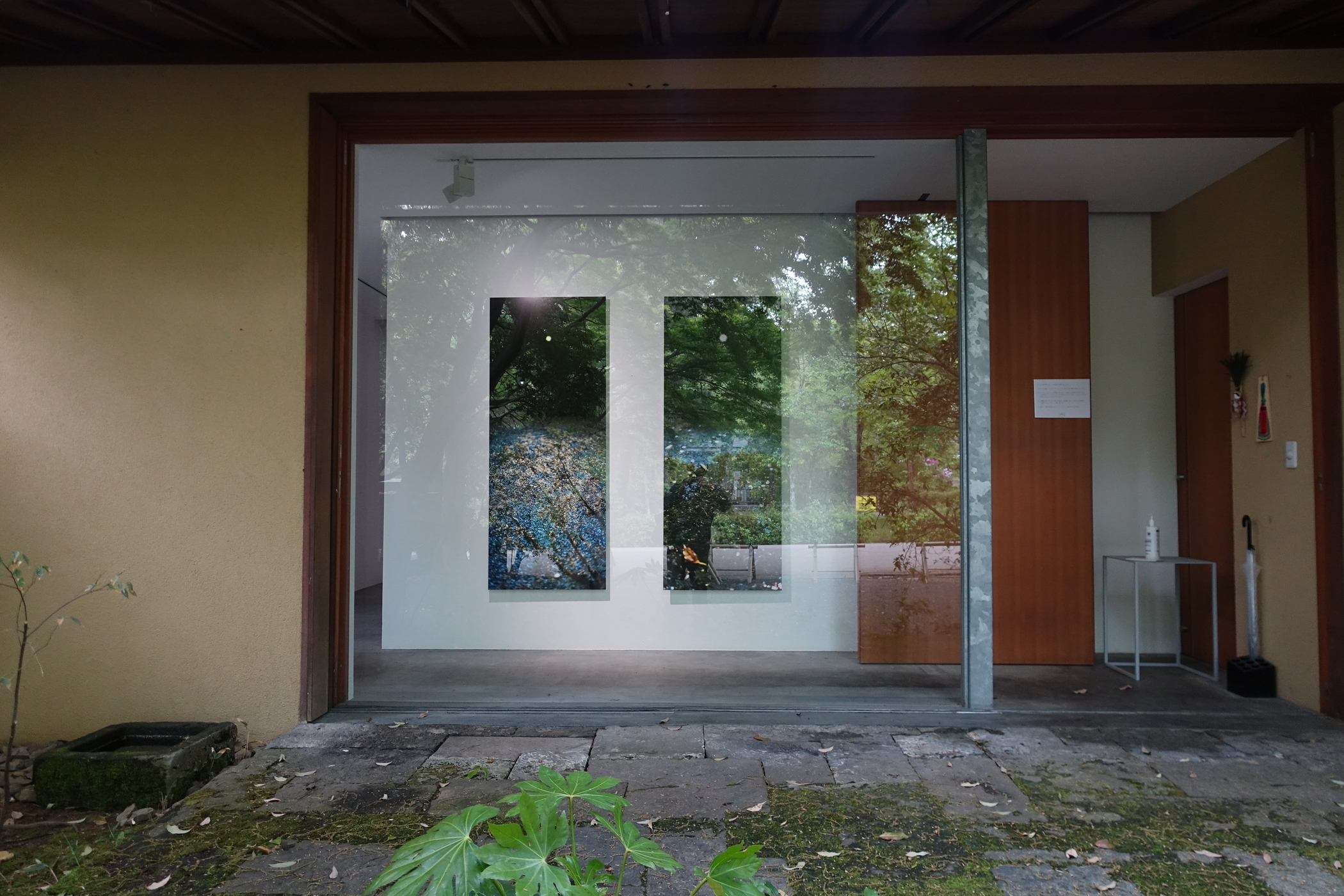 写真展】R3.4/2～4/30＿清水穣キュレーション「showcase #9