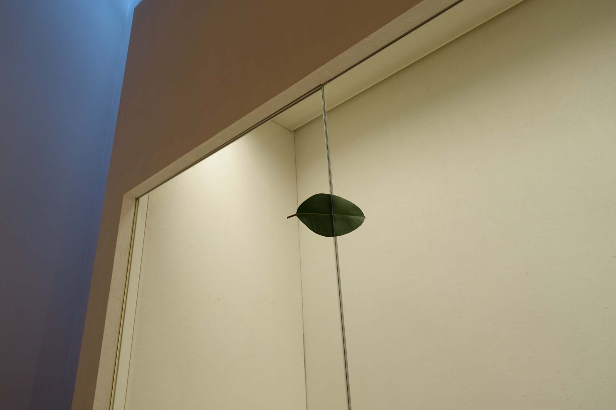 f:id:MAREOSIEV:20210425171749j:plain