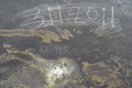 20210911225110 20210911225110