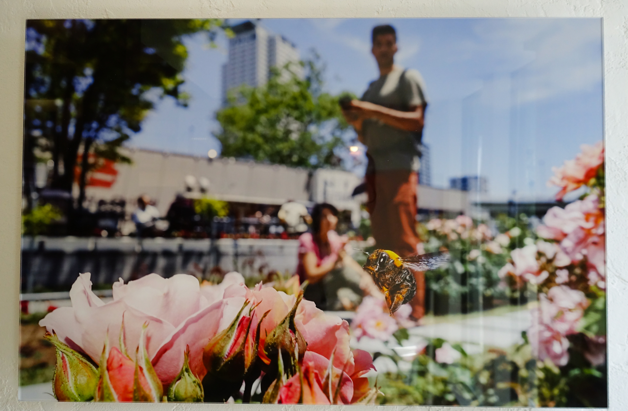 f:id:MAREOSIEV:20210925213331j:plain