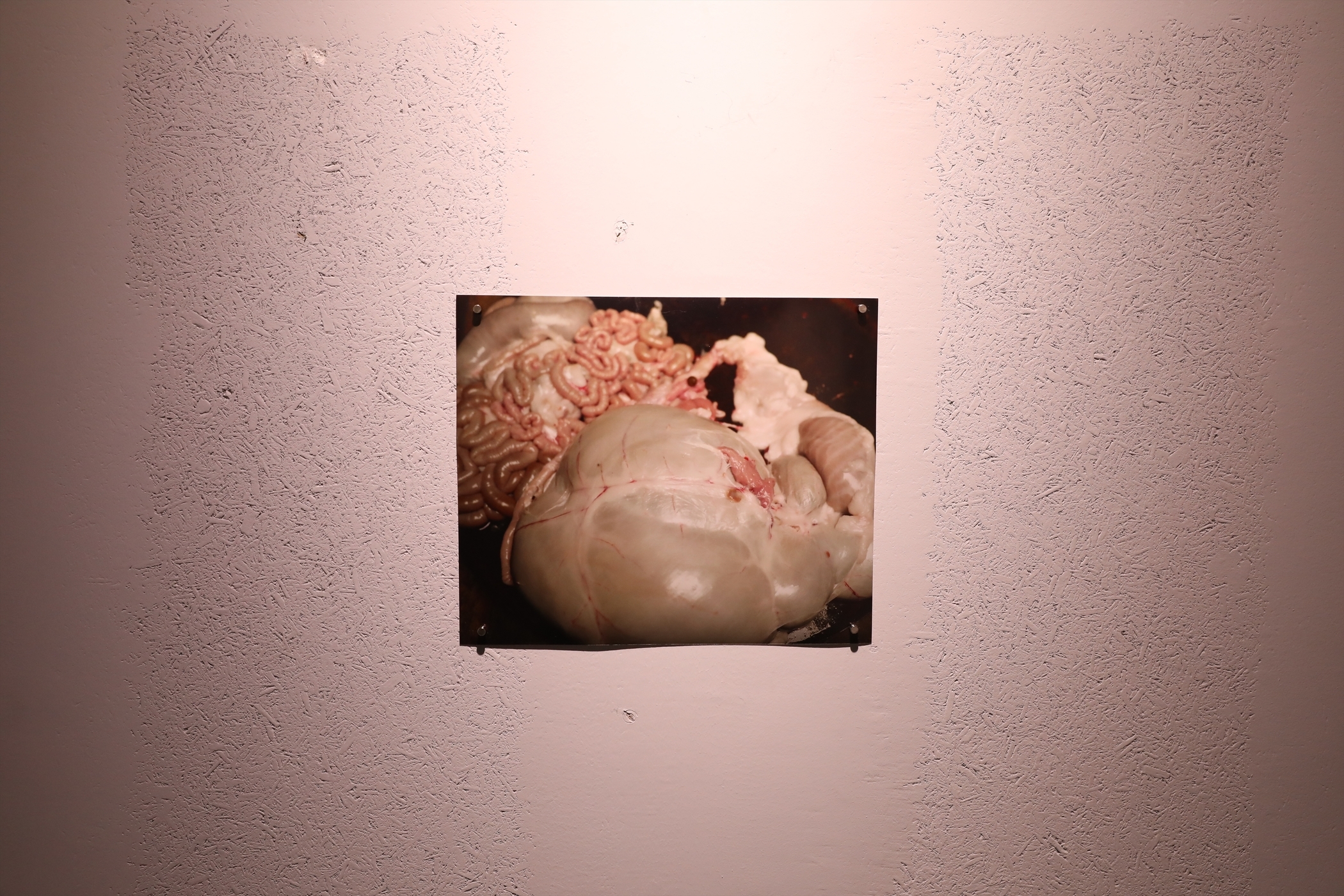 f:id:MAREOSIEV:20210925213747j:plain