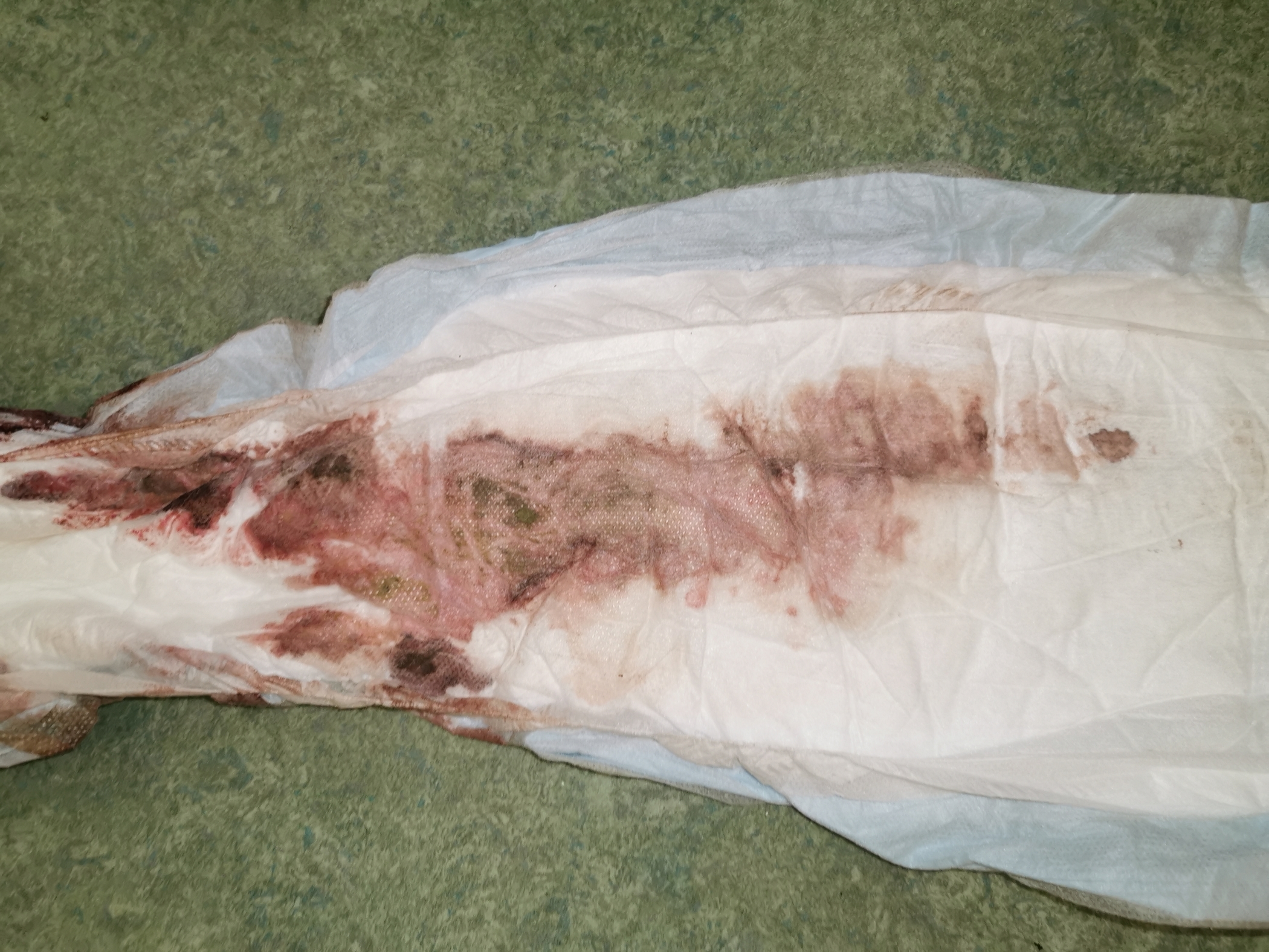 f:id:MAREOSIEV:20210930112002j:plain