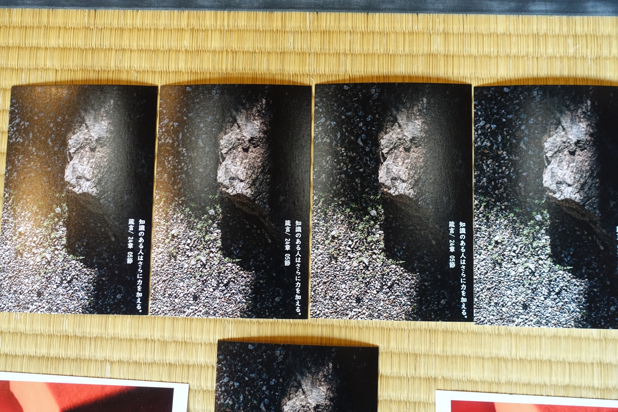 f:id:MAREOSIEV:20211128112409j:plain