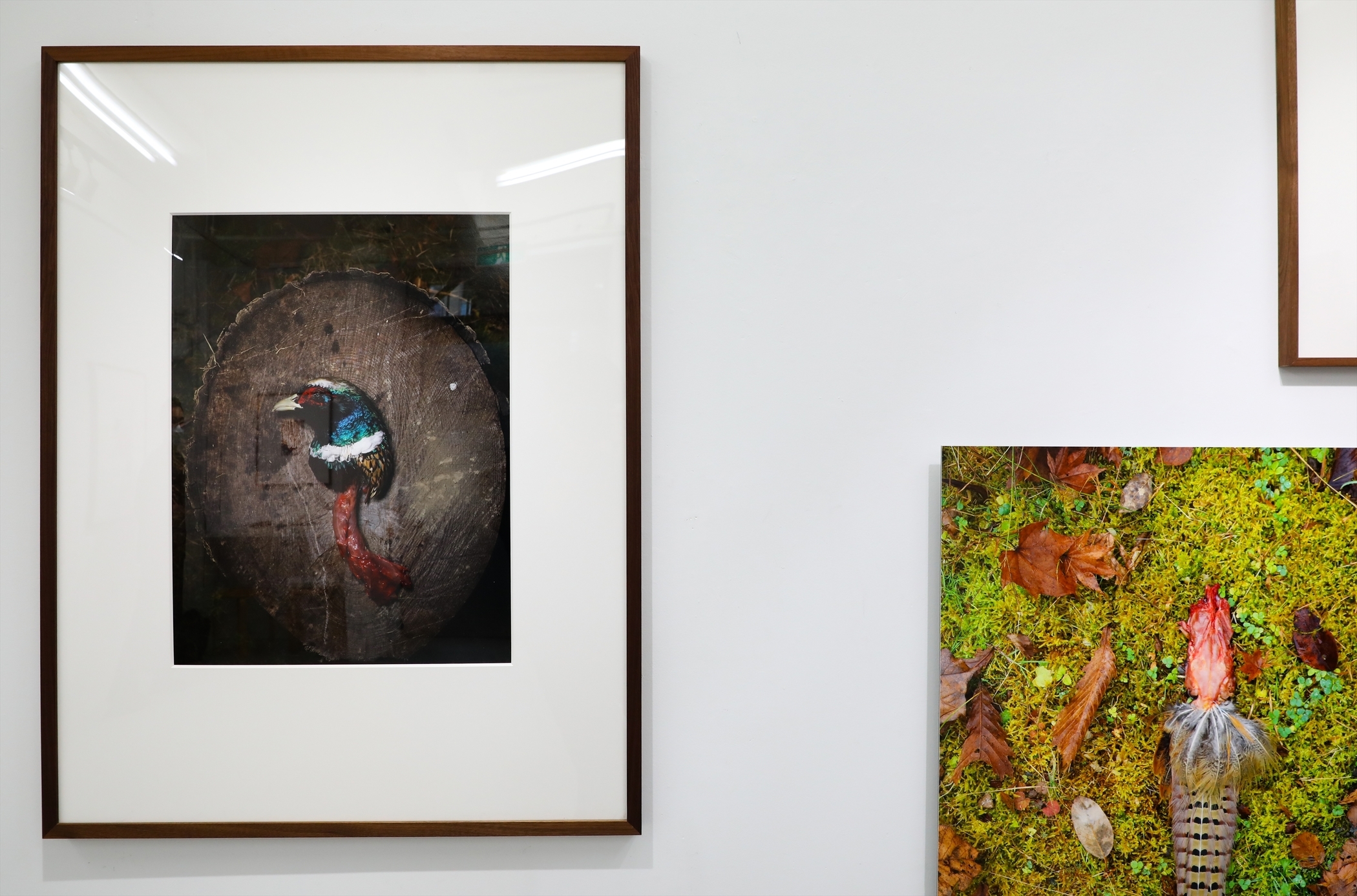 写真展】R4.1/29～2/26＿石川竜一「いのちのうちがわ」＠The Third