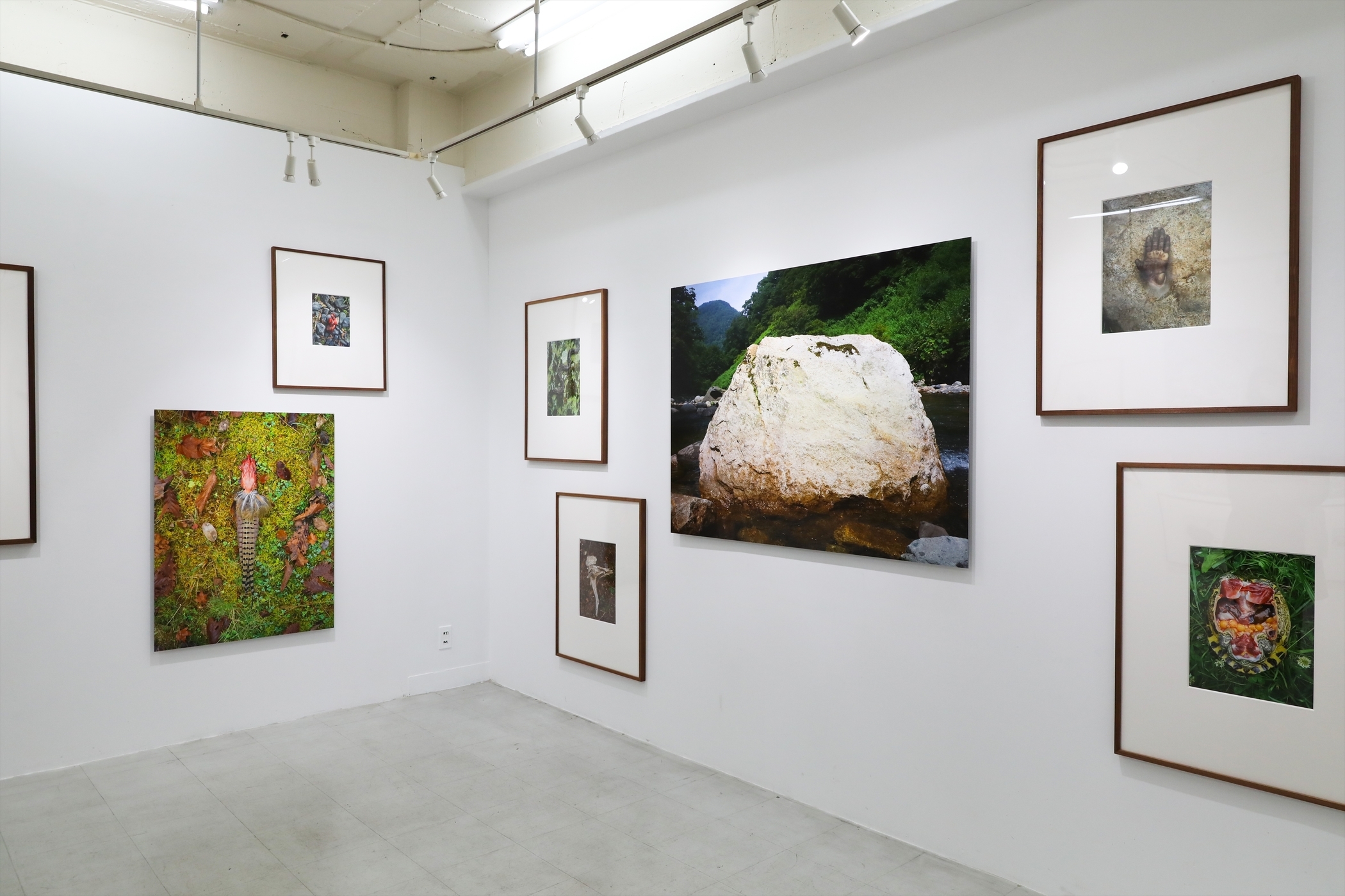 写真展】R4.1/29～2/26＿石川竜一「いのちのうちがわ」＠The