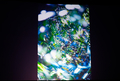 20220515224648