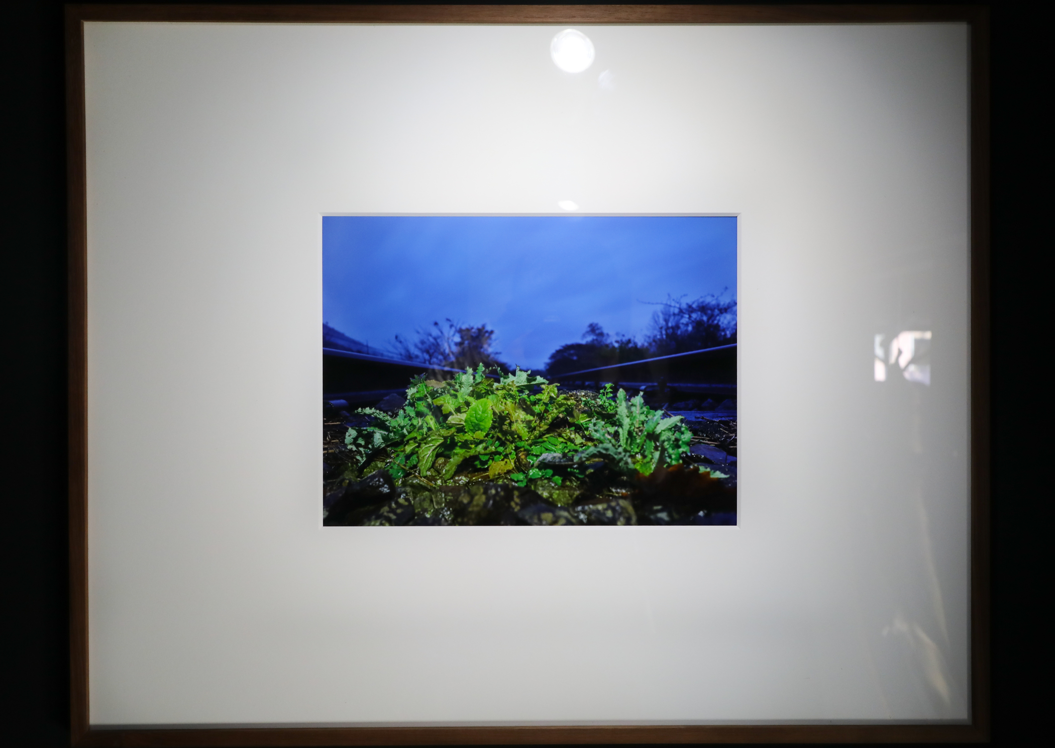 絵画、アクリル画、F10号、岩山から見た紅葉の妙義山 佐原聖春 【公式