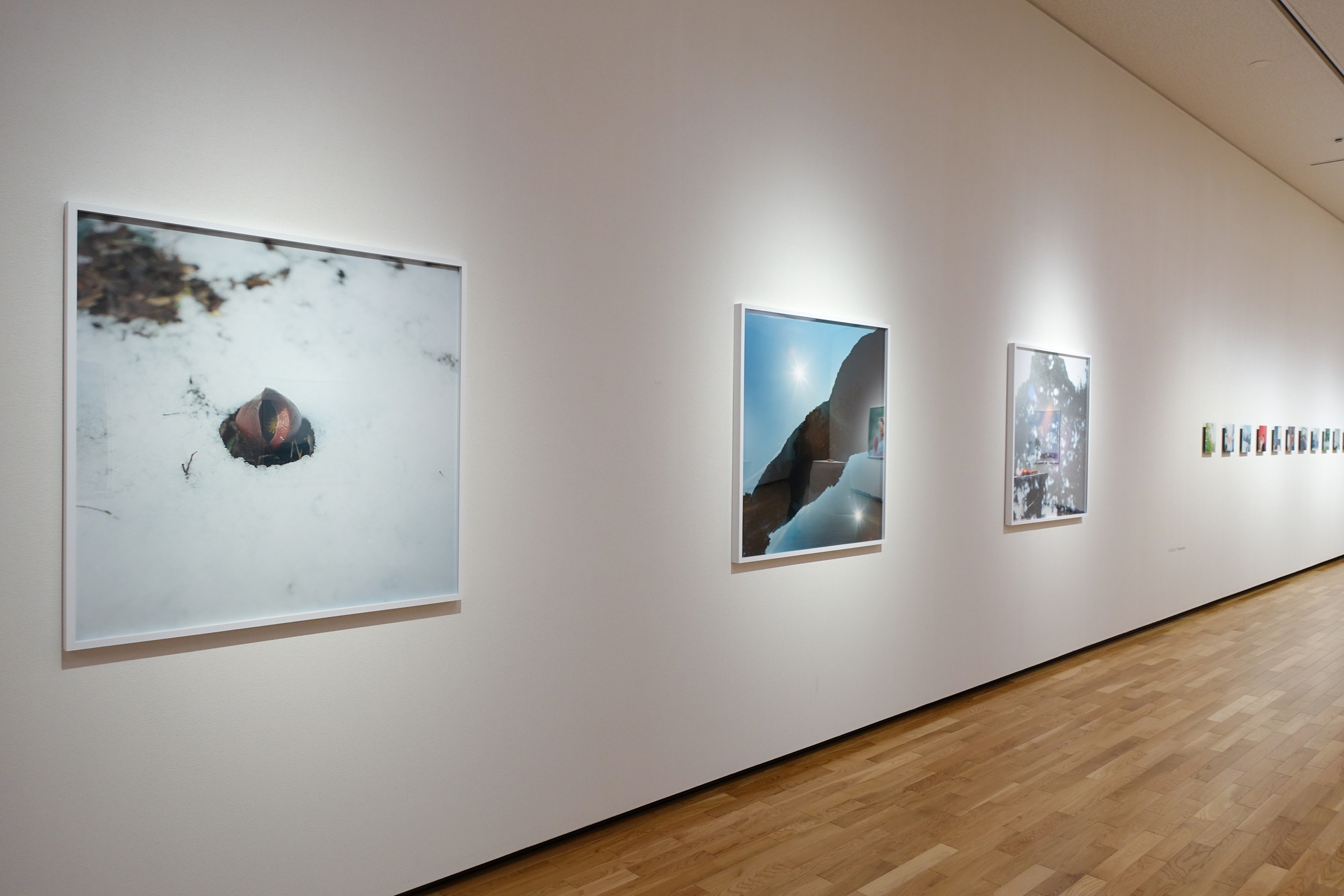 写真展】R5.1/11～5/7「川内倫子と滋賀」＠滋賀県立美術館 - nekoSLASH