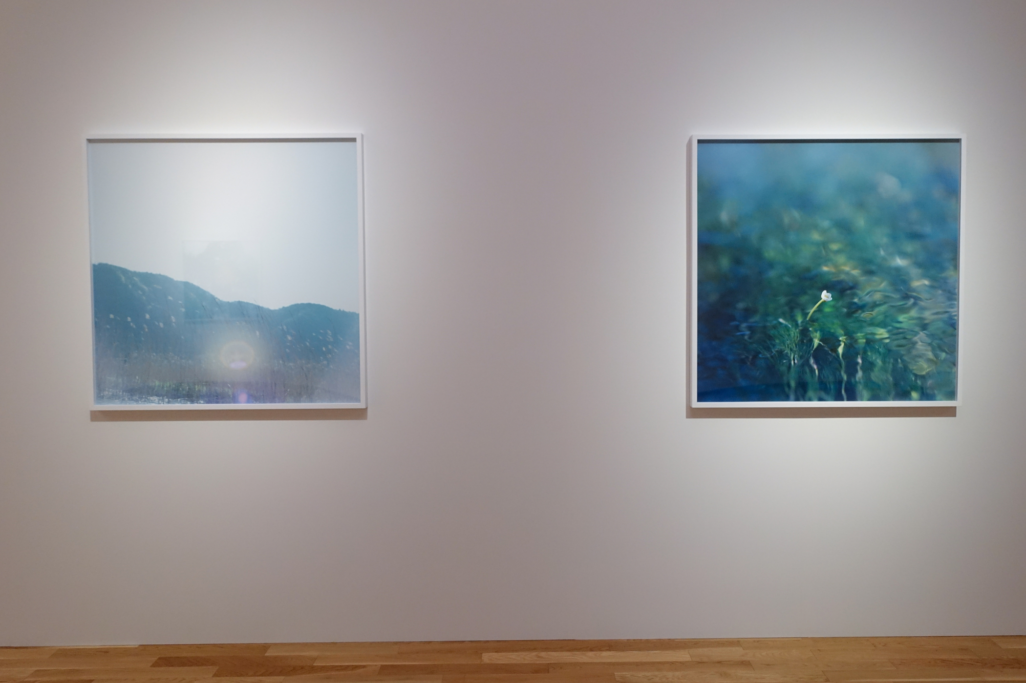 写真展】R5.1/11～5/7「川内倫子と滋賀」＠滋賀県立美術館 - nekoSLASH