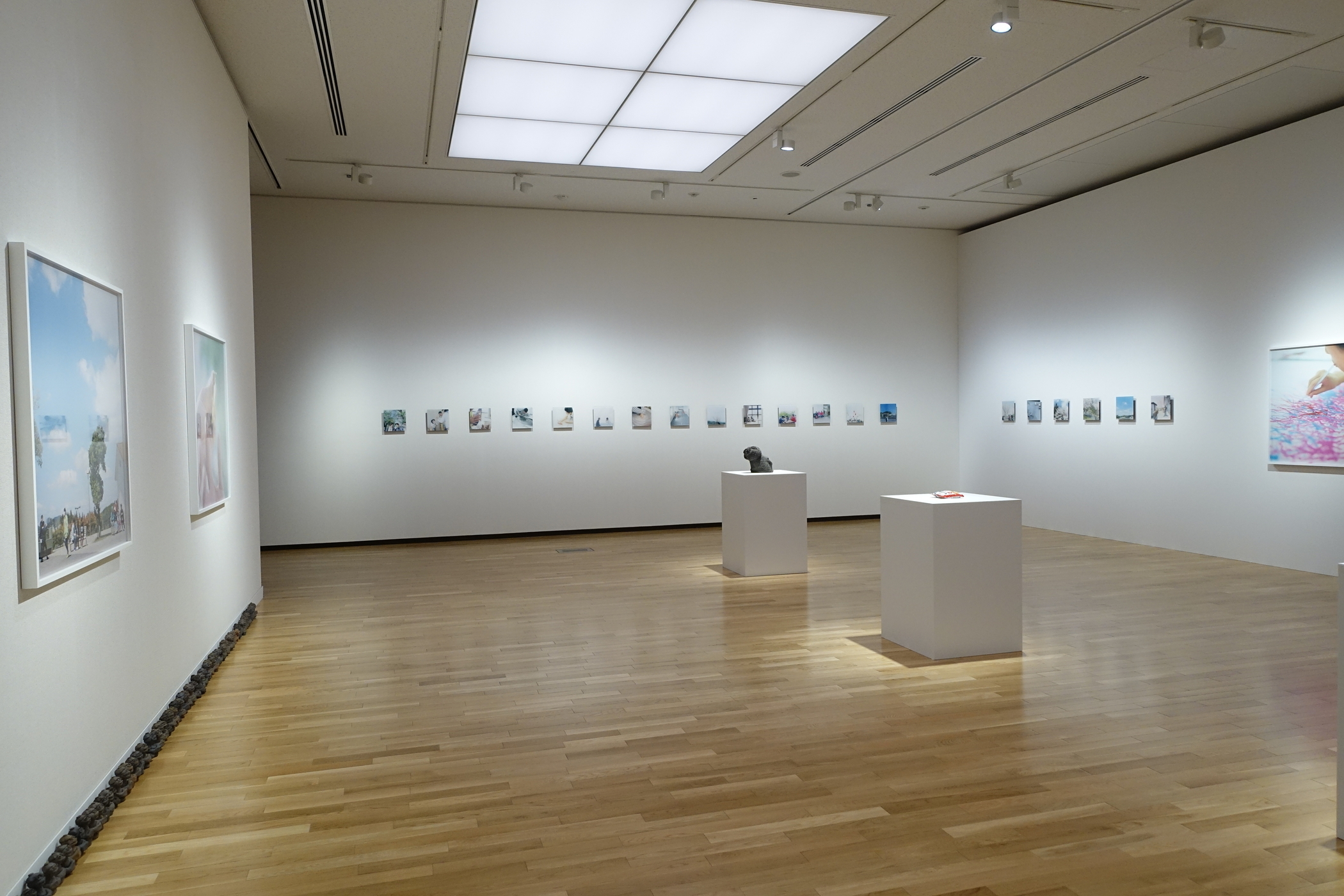 逆さ撮り美術館5 写真展】R5.1/11~5/7「川内倫子と滋賀」@滋賀県立美術館 - nekoSLASH