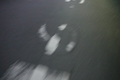 20231218203245
