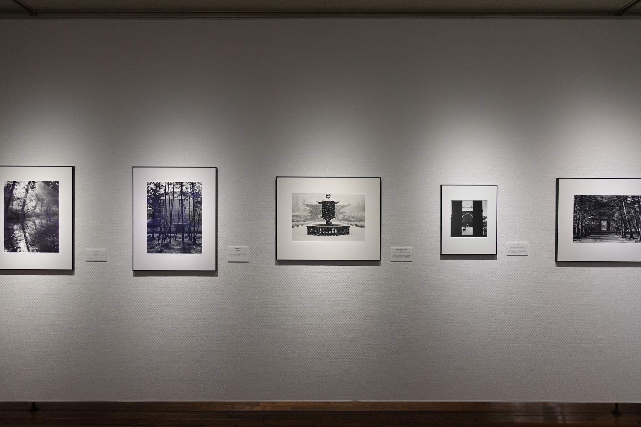 写真展】2023.12/2～2024.1/28「世界遺産登録25周年記念 入江泰
