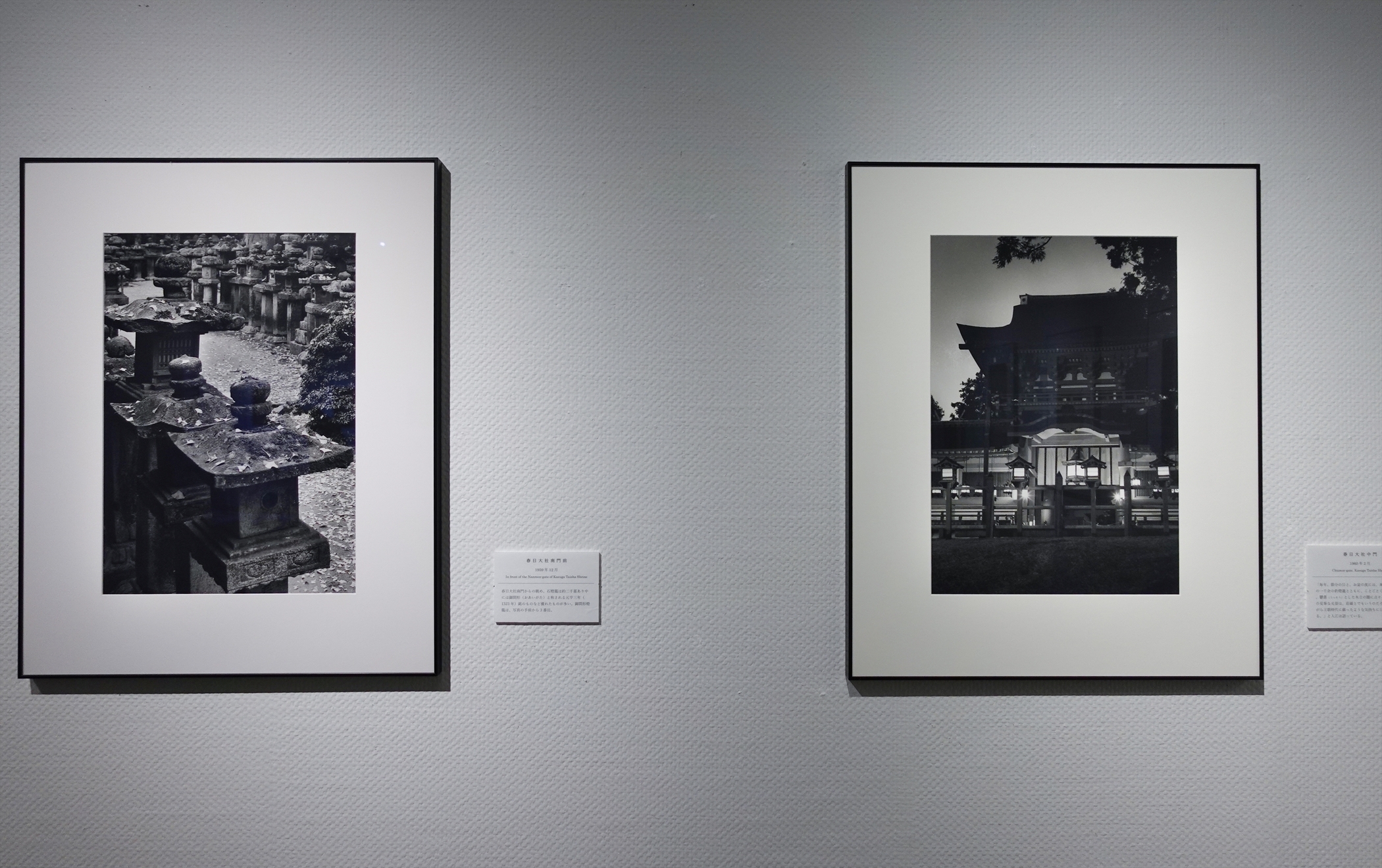 写真展】2023.12/2～2024.1/28「世界遺産登録25周年記念 入江泰