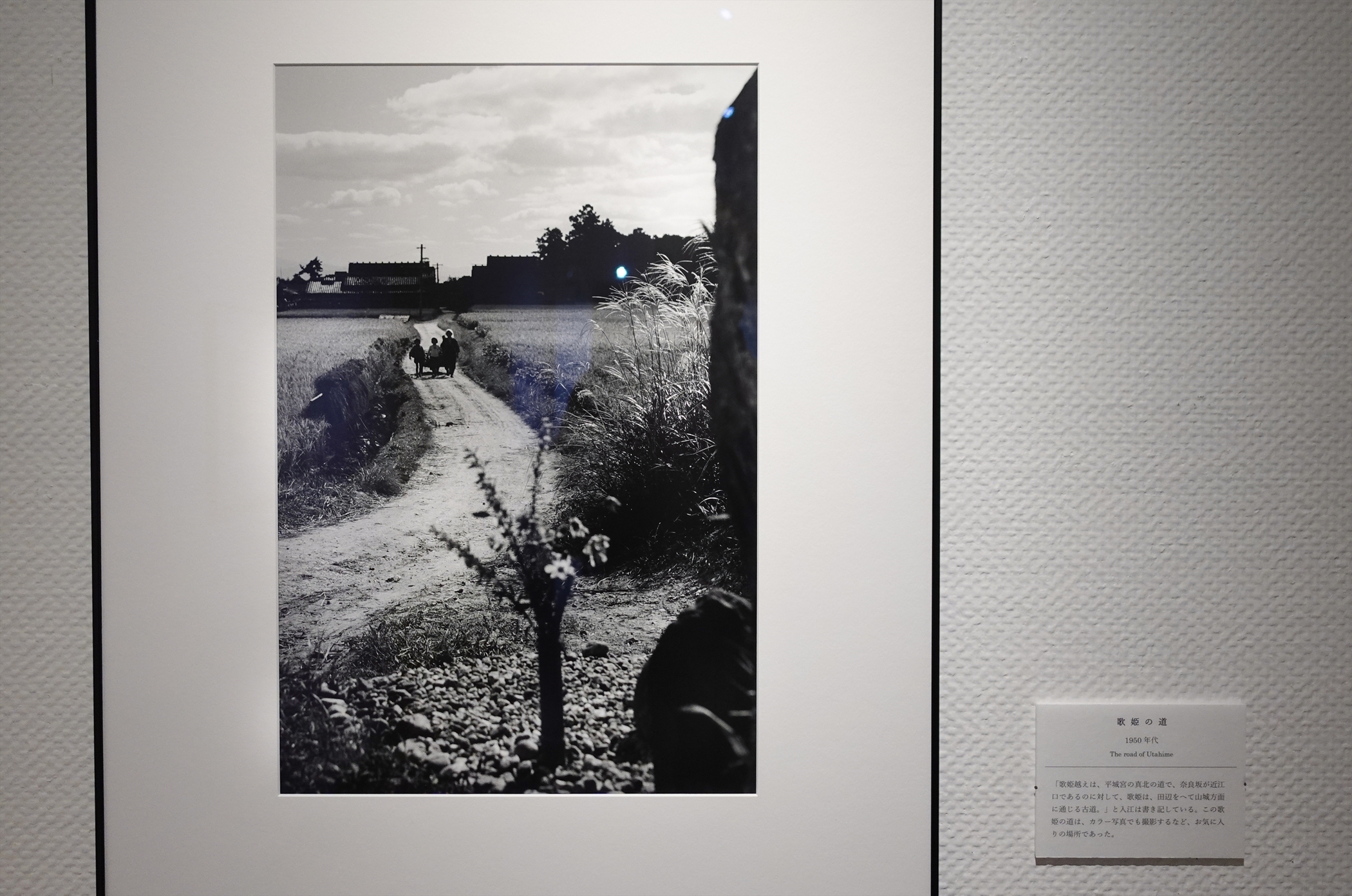 写真展】2023.12/2～2024.1/28「世界遺産登録25周年記念 入江泰