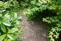 20240526191744