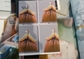 20240908222550