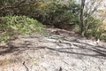 20241124120348