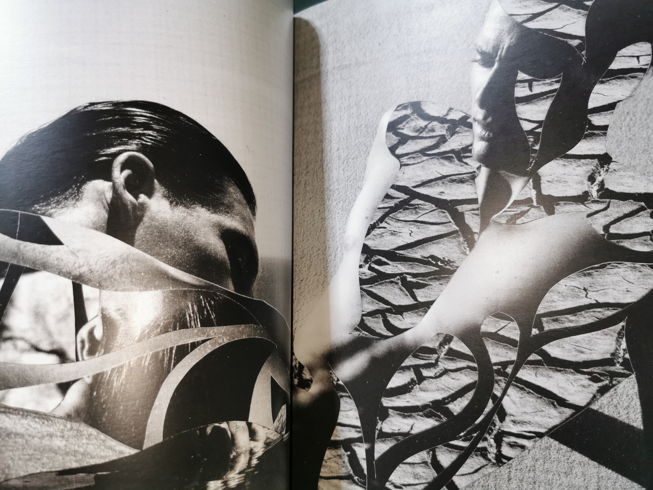 本】2024年に購入した本④（アート、ファッション雑誌） - nekoSLASH