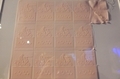 20250302233126