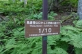 20250824081258