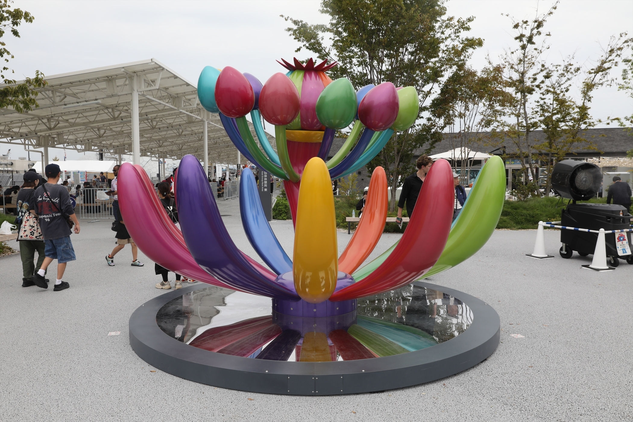 風林火山 西日本阪 芸術審査 送料込み 風林火山 西日本阪 芸術審査 送料込み