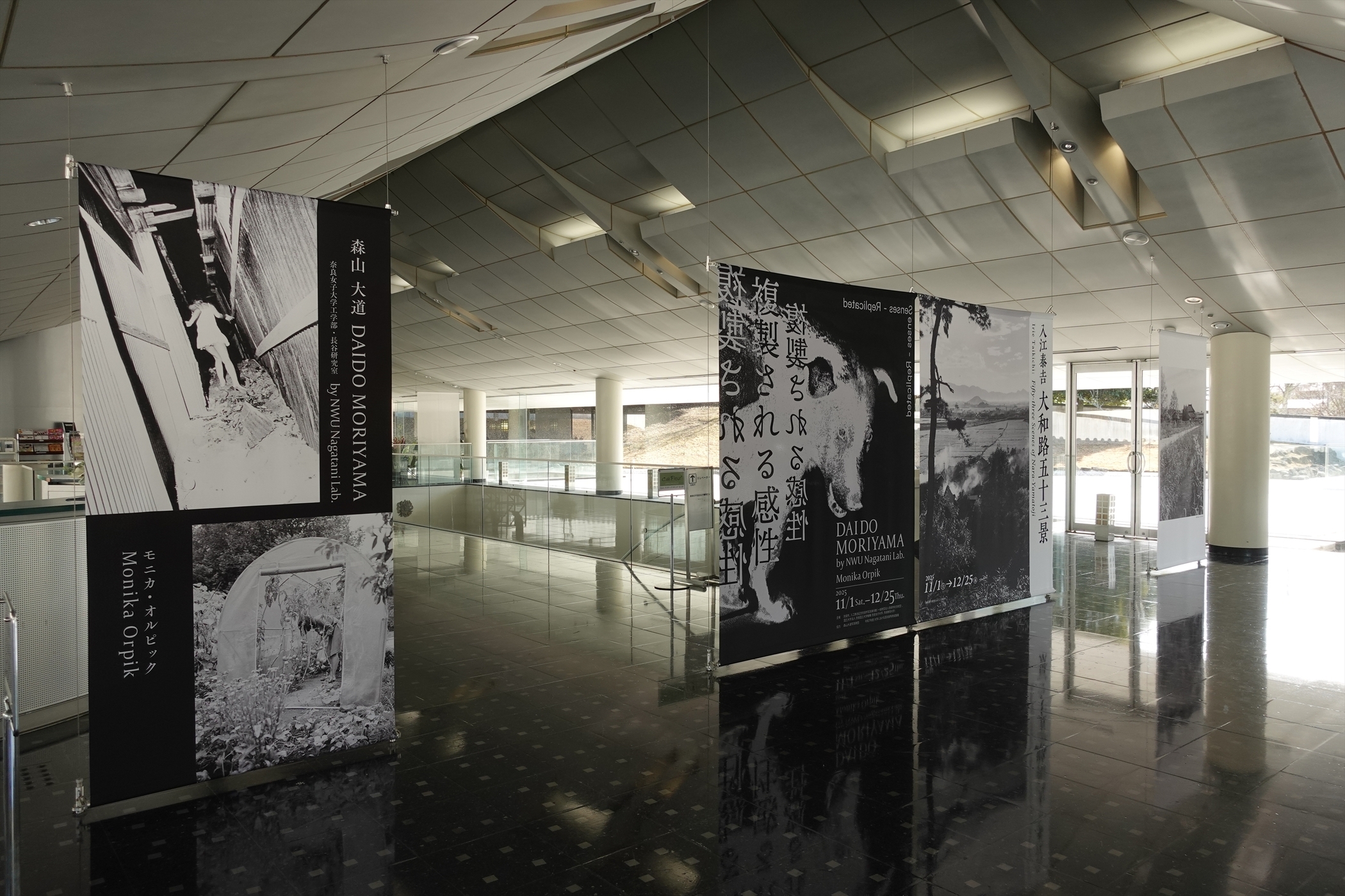 写真展】2025.11/1-12/25「あ³ 複製される感性 森山大道」＠入江泰吉