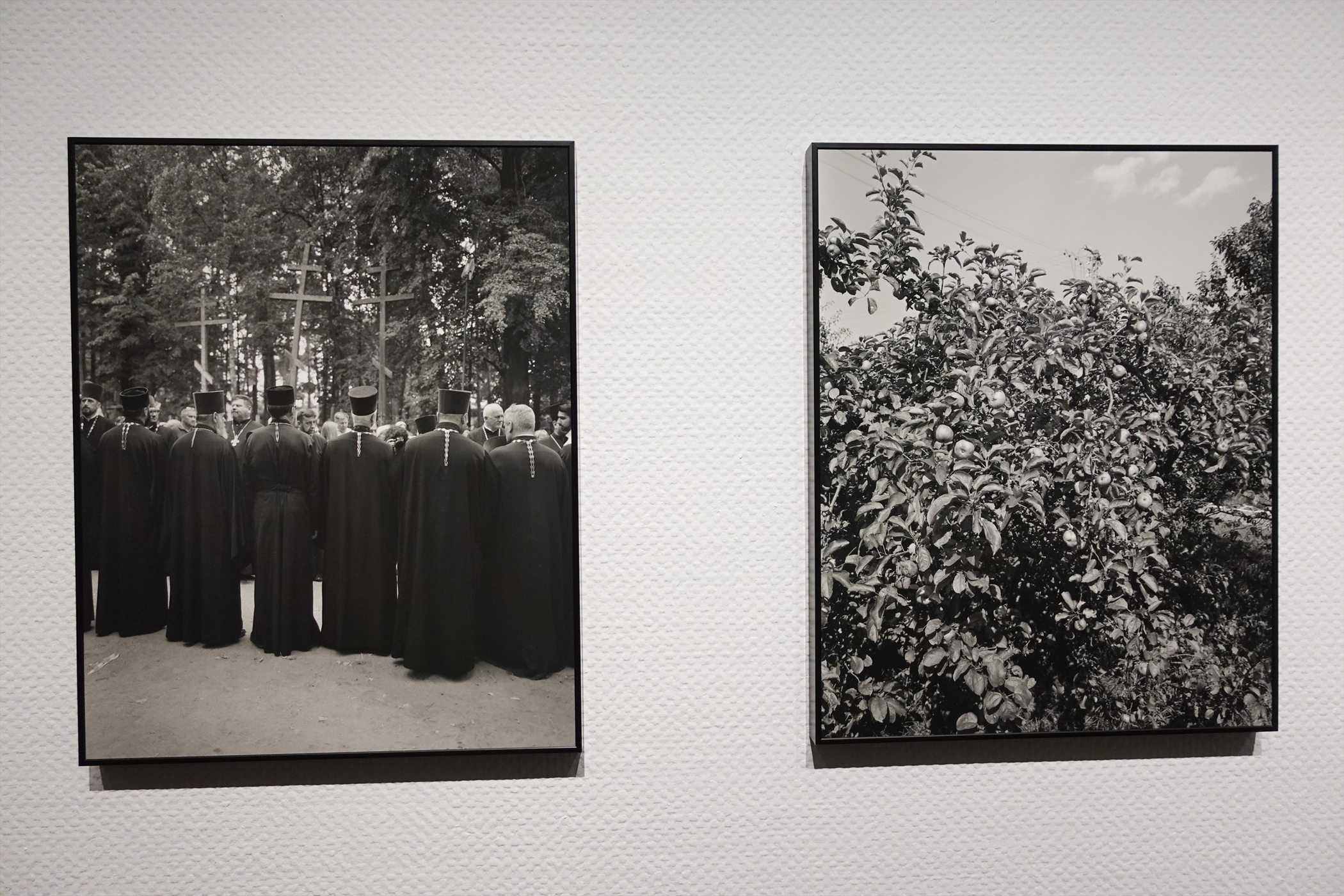 写真展】2025.11/1-12/25「あ³ 複製される感性 Monika Orpik（モニカ