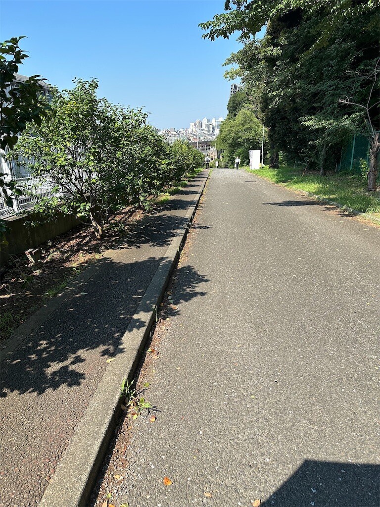 f:id:MARUHOPPE:20240724002525j:image f:id:MARUHOPPE:20240724002525j:image