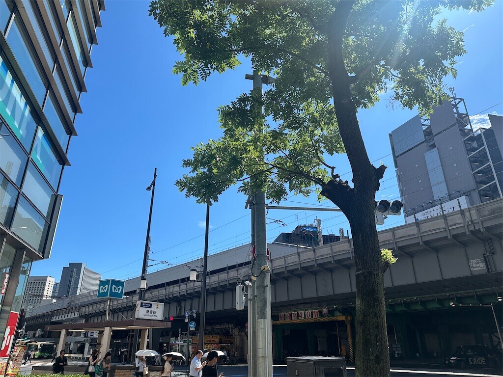 f:id:MARUHOPPE:20260806213510j:image