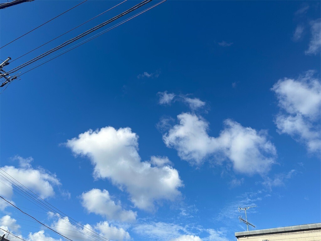 f:id:MARUHOPPE:20260807222726j:image