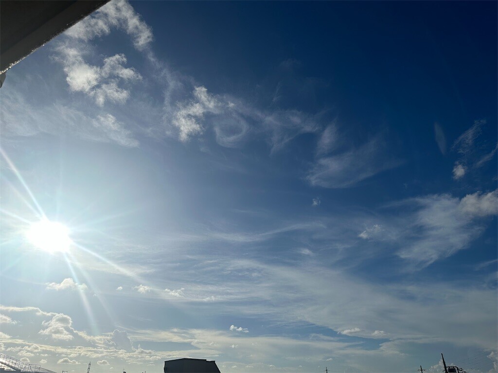 f:id:MARUHOPPE:20260807222733j:image