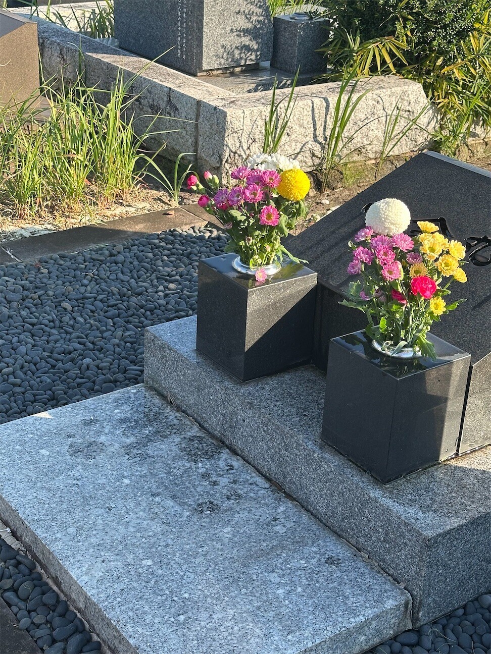 f:id:MARUHOPPE:20261013014333j:image