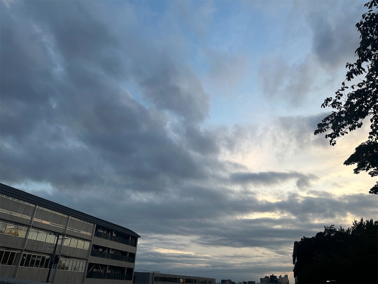f:id:MARUHOPPE:20261014055506j:image