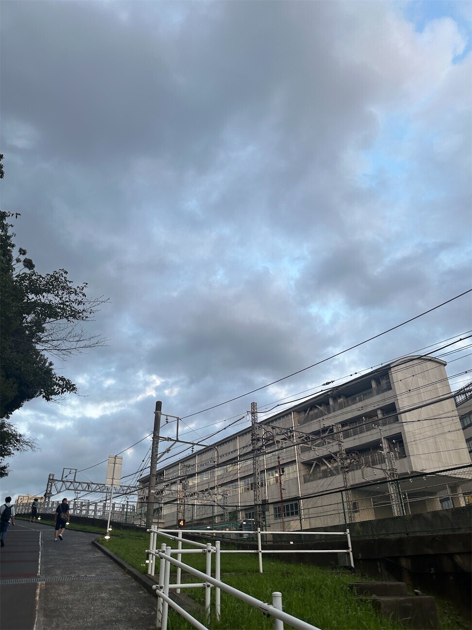 f:id:MARUHOPPE:20261014055509j:image