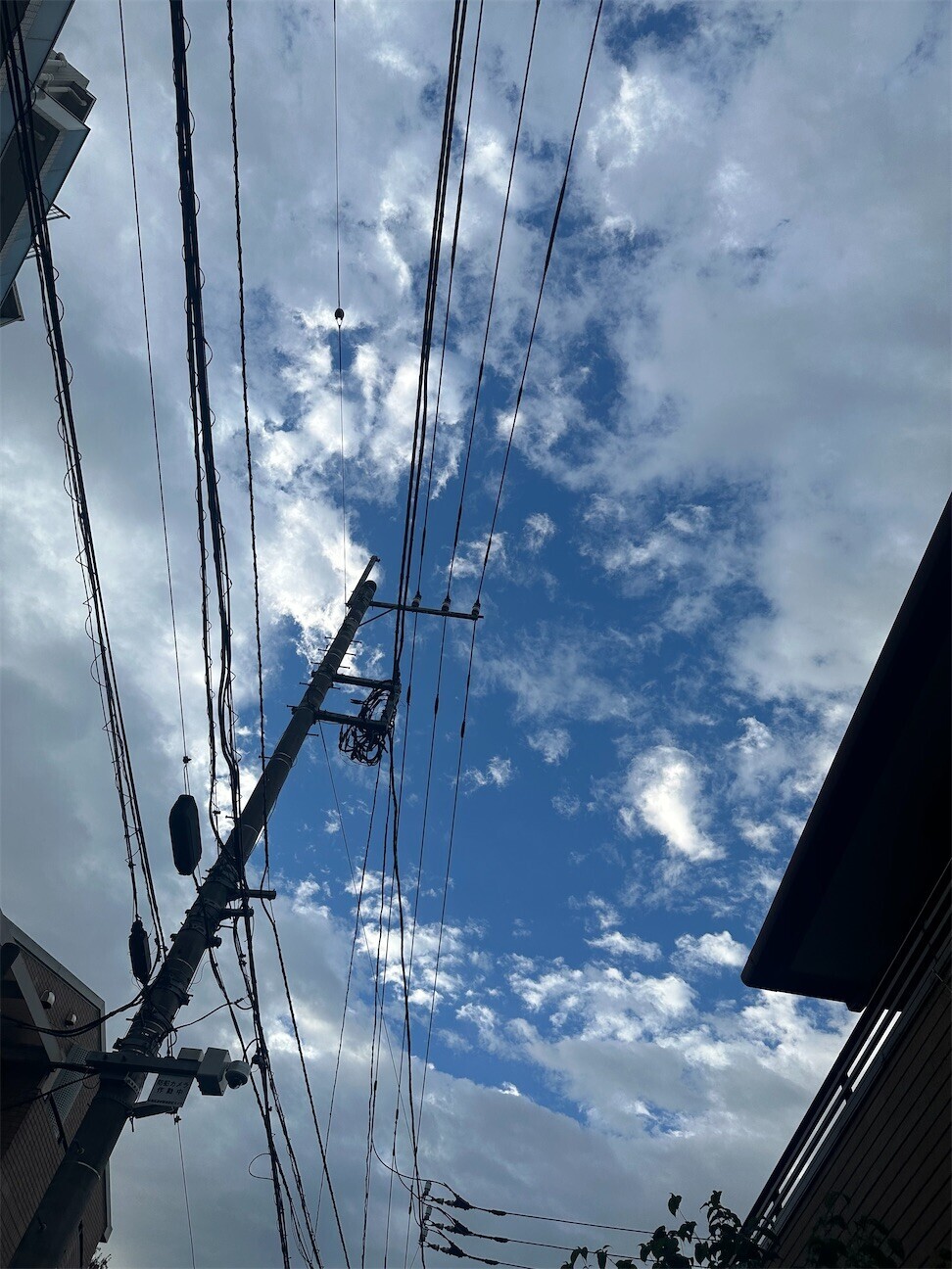 f:id:MARUHOPPE:20261014071122j:image